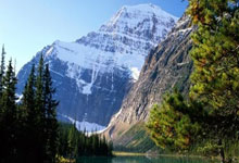 Cook County Property Tax: Bills, Due Dates, and Your Second Installment