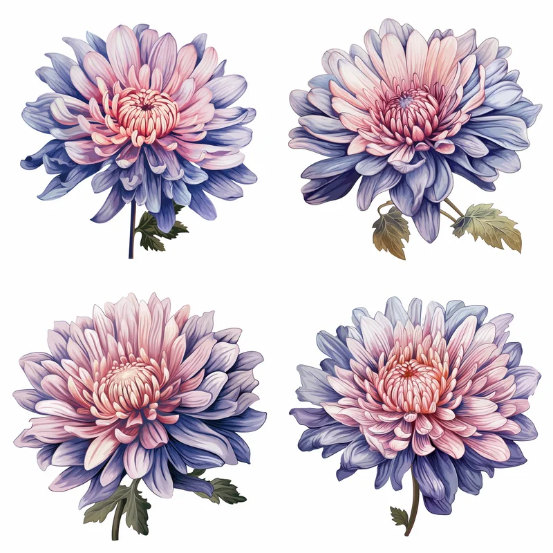 Aster: Price, What It Is, and Ari Aster Movies